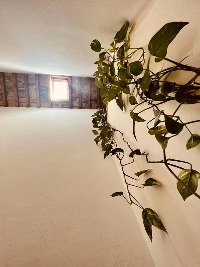 Albergo Dal Fata 甘巴西 外观 照片